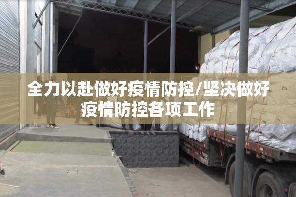 全力以赴做好疫情防控/坚决做好疫情防控各项工作