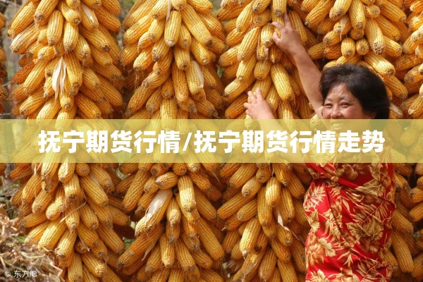 抚宁期货行情/抚宁期货行情走势
