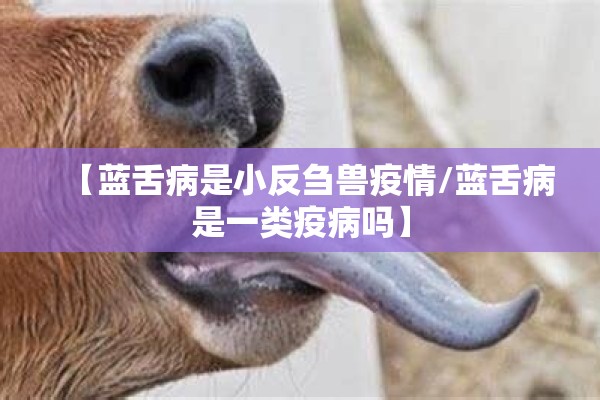 【蓝舌病是小反刍兽疫情/蓝舌病是一类疫病吗】