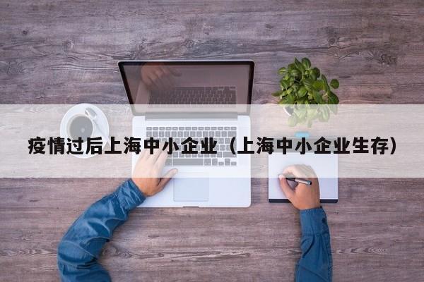 疫情过后上海中小企业(上海中小企业生存)