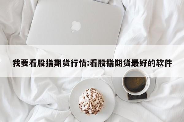 我要看股指期货行情:看股指期货最好的软件