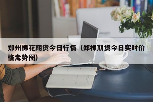 郑州棉花期货今日行情(郑棉期货今日实时价格走势图)