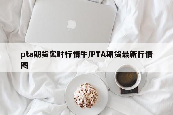 pta期货实时行情牛/PTA期货最新行情图