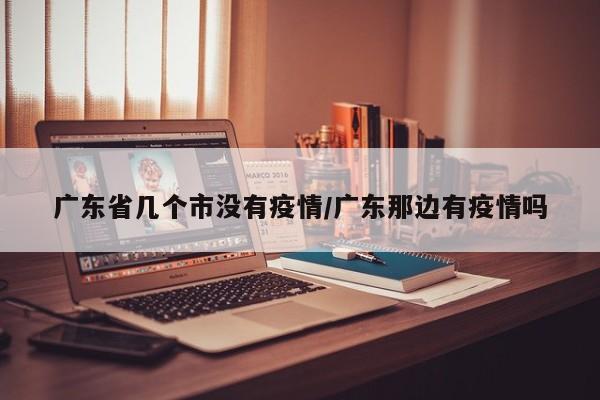 广东省几个市没有疫情/广东那边有疫情吗