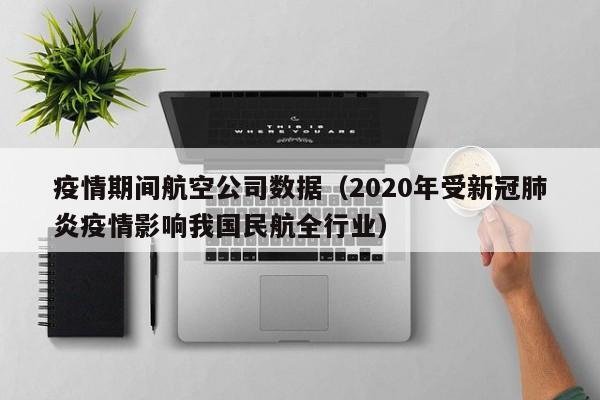 疫情期间航空公司数据(2020年受新冠肺炎疫情影响我国民航全行业)