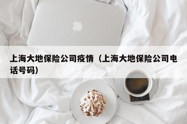 上海大地保险公司疫情(上海大地保险公司电话号码)